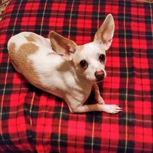 Meet your Posher, Denise